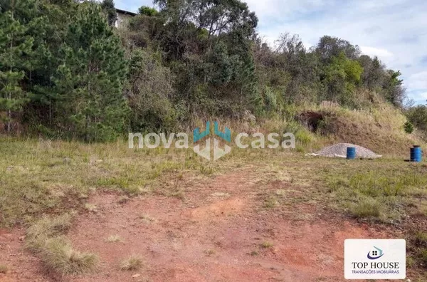 Terreno berger Caçador - Foto 4