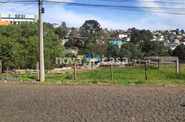 Terreno Alto Bonito Caçador - Foto 1