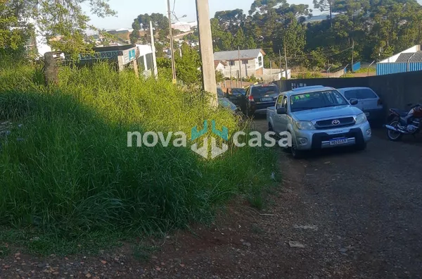 Terreno MARTELLO Caçador - Foto 5