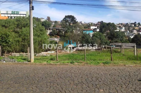 Terreno Alto Bonito Caçador - Foto 4