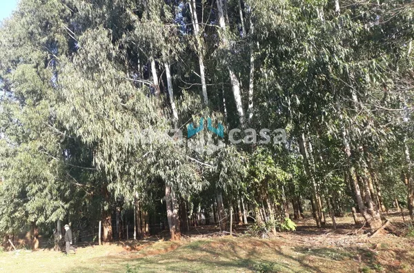 Sítio para venda,  Interior, Xanxerê - Foto 3