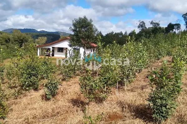Sítio para venda,  área Rural De Caçador, Caçador - Foto 5