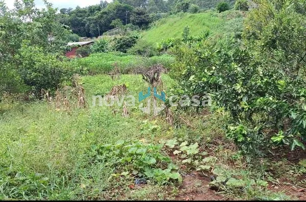 Casa para venda,  Centro, Marema - Foto 3