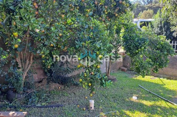 Casa para venda, 2 quarto(s),  Figueroa, Caçador - Foto 19