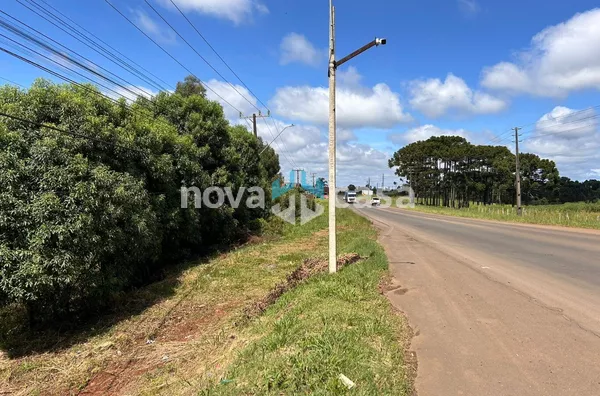 Terreno para venda,  Industrial, Caçador - Foto 4