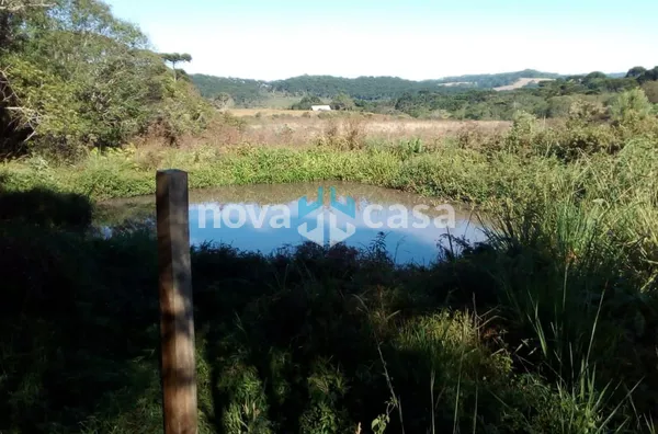Fazenda para venda,  interior, Guarapuava
