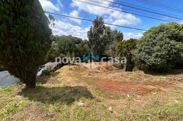 Terreno para venda,  Industrial, Caçador - Foto 2