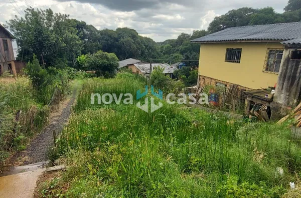 Terreno para venda,  Martello, Caçador - Foto 4