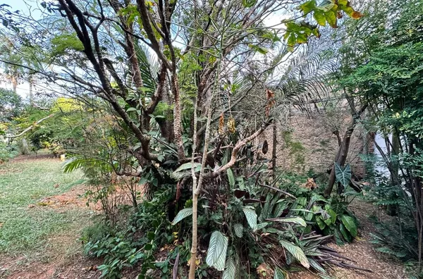 Terreno para venda,  Centro, Indaiatuba - Foto 3