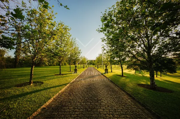 Terreno para venda,  Parque Das Bandeiras, Indaiatuba - Foto 2