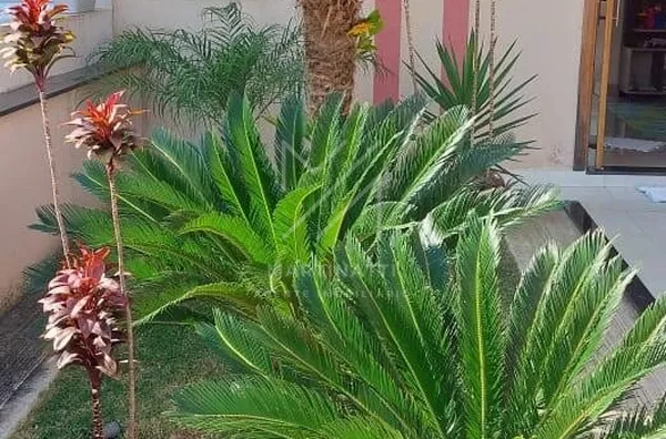 Casa em condomínio para venda,  Jardim Park Vista Real, Indaiatuba - Foto 4