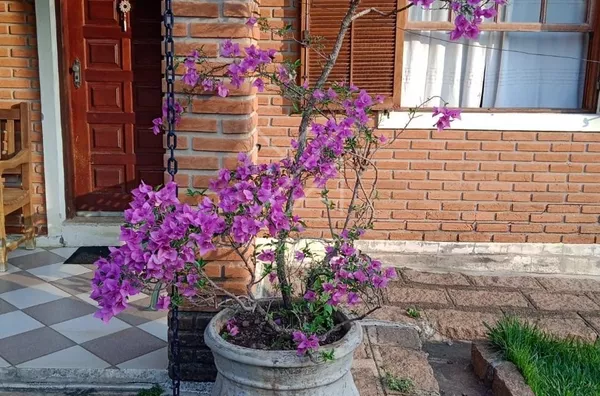 Chácara para venda, 3 quarto(s),  Terras De Itaici, Indaiatuba - Foto 6