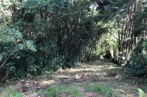 Terreno  á venda  no bairro Caioçara -Jarinu/SP