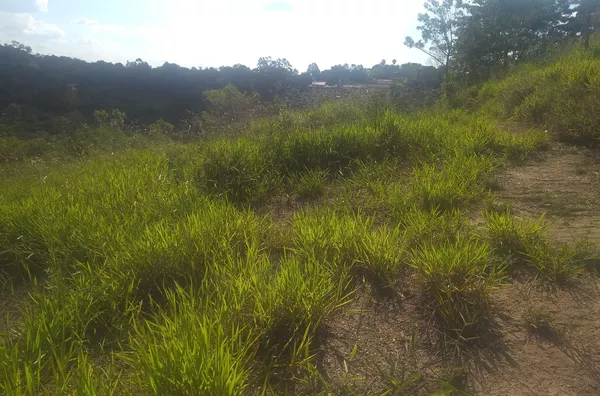 Terreno  para venda no bairro  Machadinho -Jarinu/SP