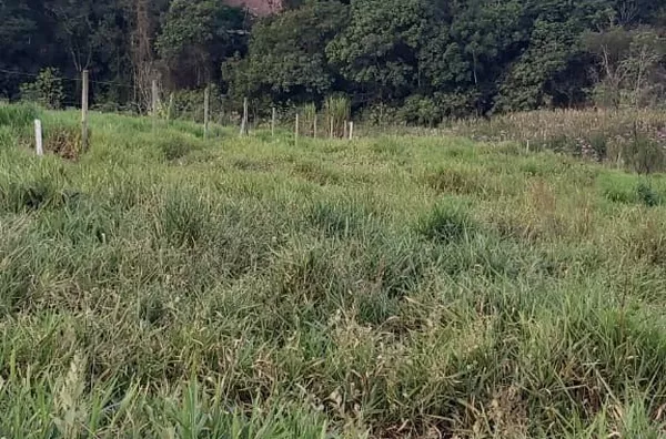 Terreno á  venda  no bairro Trieste -Jarinu/SP