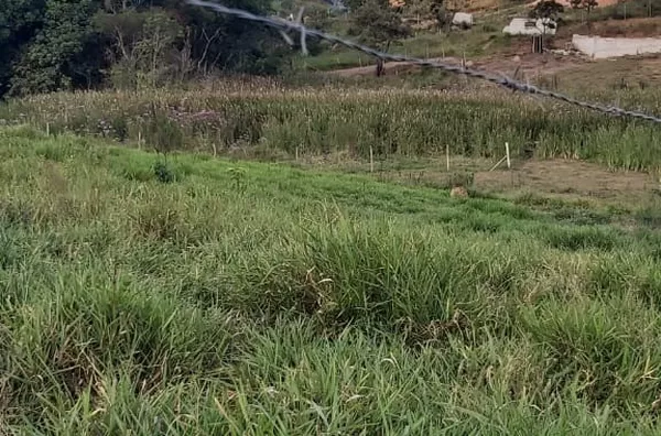 Terreno á  venda  no bairro Trieste -Jarinu/SP