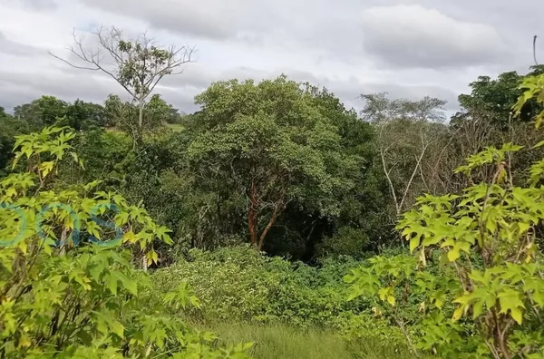 Terreno á venda no bairro  Soares -Jarinu/SP