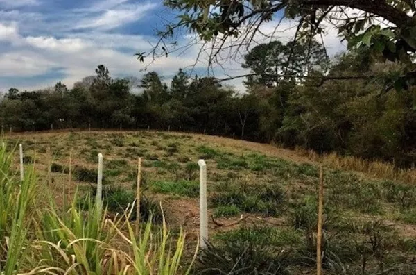 Terreno Rural à venda, Guacuri, Itupeva - TE0131.