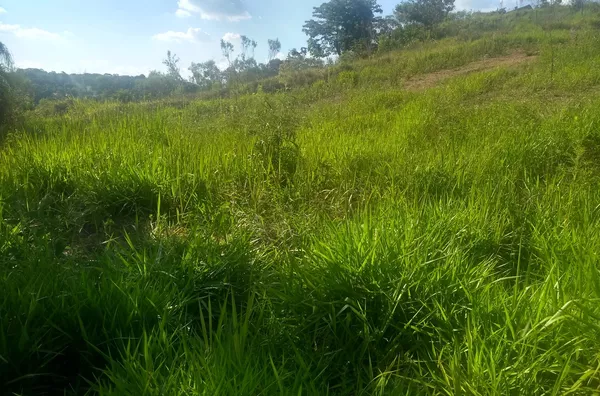 Terreno  para venda no bairro  Machadinho -Jarinu/SP