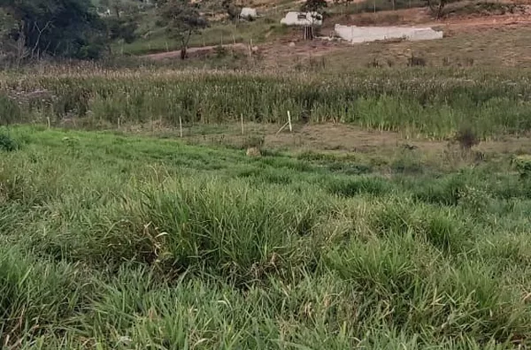 Terreno á  venda  no bairro Trieste -Jarinu/SP