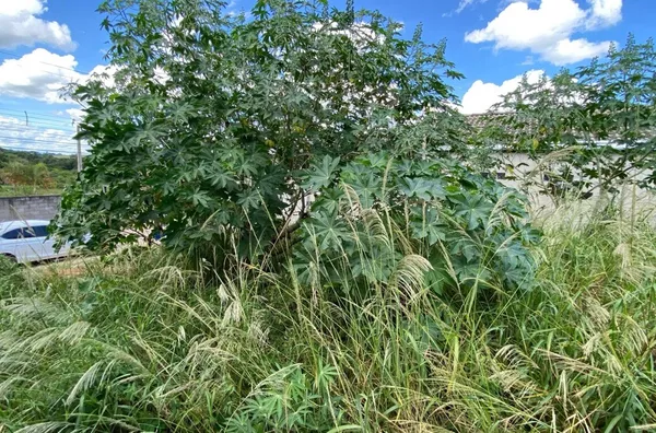 Terreno para venda no bairro Primavera, Jarinu