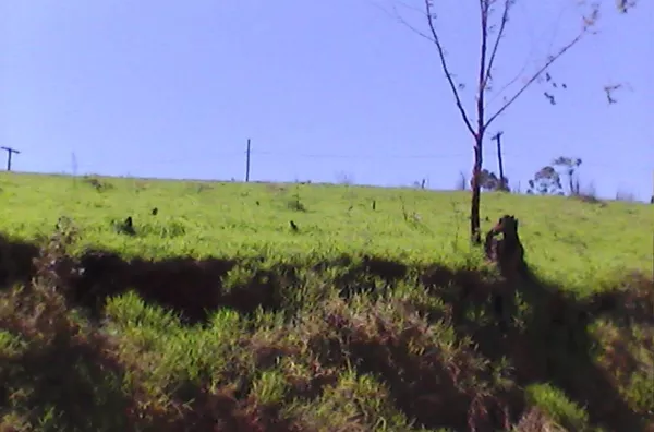 Terreno á venda Campo Largo JARINU/SP