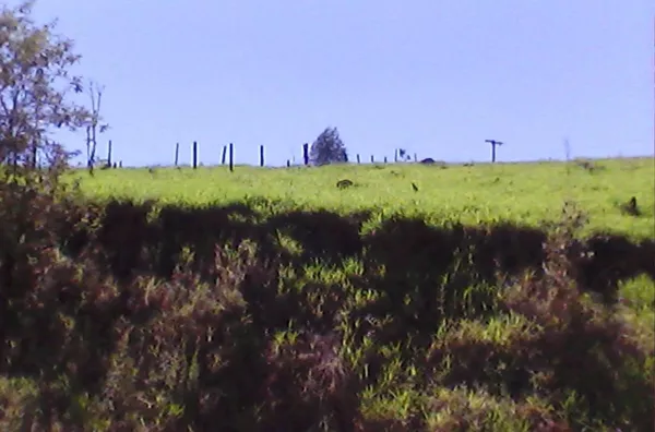 Terreno á venda Campo Largo JARINU/SP