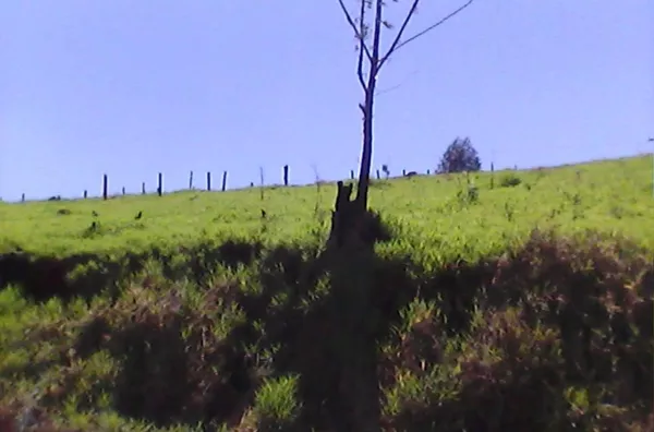 Terreno á venda Campo Largo JARINU/SP