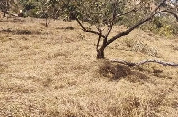 Terreno Rural à venda, Ville Saint James II, Campo Limpo Paulista - TE0197.
