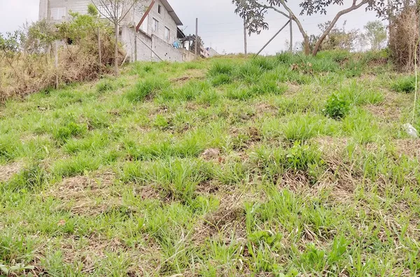 Terreno á venda Ypê- JARINU/SP
