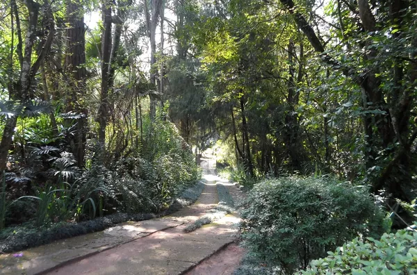 Chácara á venda no bairro  Trieste -Jarinu