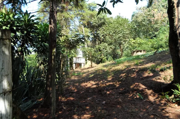 Chácara á venda no bairro  Trieste -Jarinu
