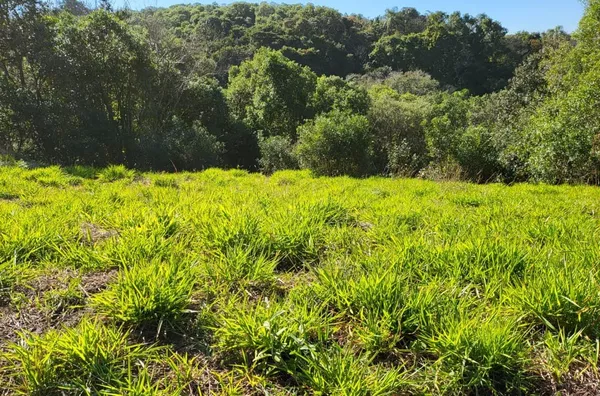 Terreno para venda,  Lagos De Jarinu, Jarinu