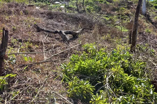 Terreno á venda no bairro Ypê - Jarinu/SP