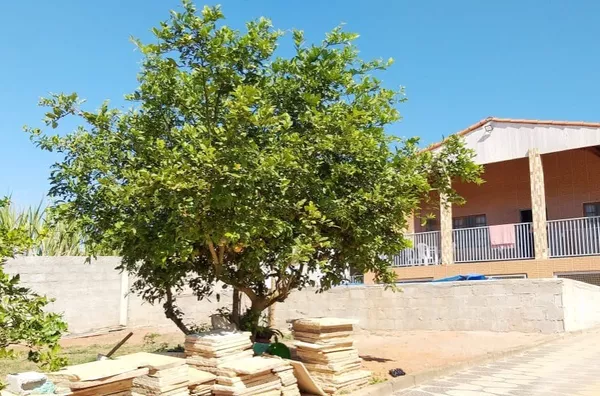 Casa á venda Estância Marilia- JARINU/SP