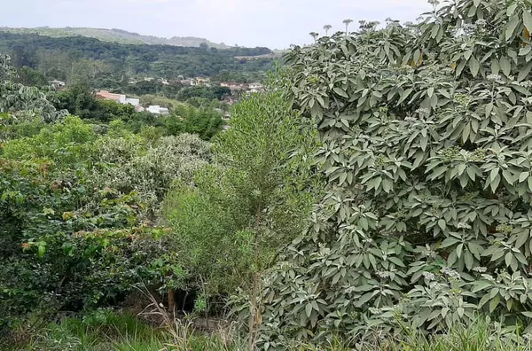 Terreno á venda Maracanã- JARINU/SP
