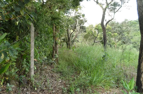 Terreno á venda Ypê- JARINU/SP