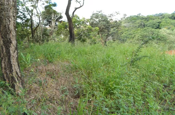 Terreno á venda Ypê- JARINU/SP