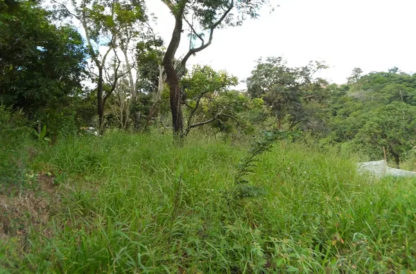 Terreno á venda Ypê- JARINU/SP
