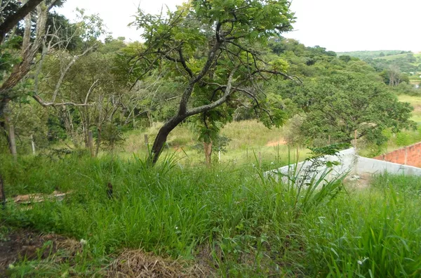Terreno á venda Ypê- JARINU/SP