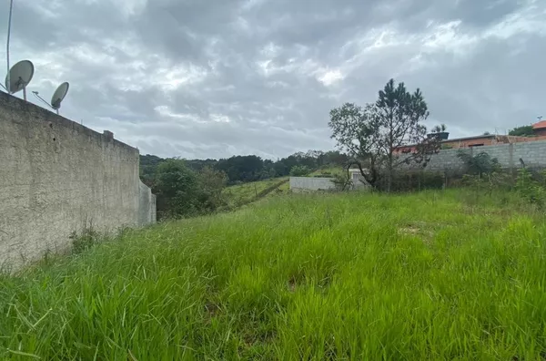 Terreno Rural à venda, Soares, Jarinu - TE0078.