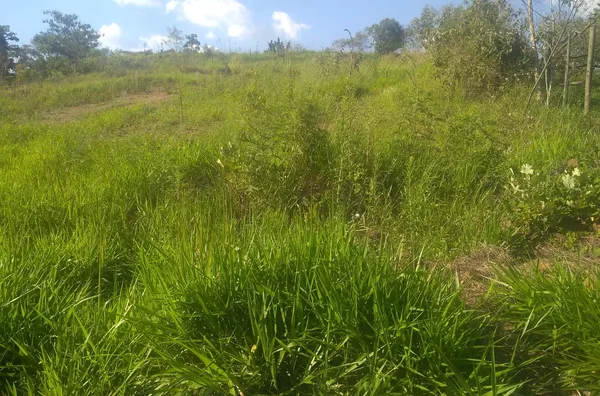 Terreno  para venda no bairro  Machadinho -Jarinu/SP