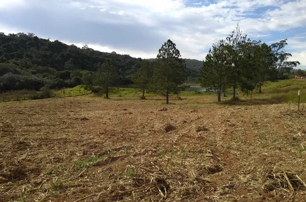 Área á  venda no bairro Maracanã -Jarinu/SP