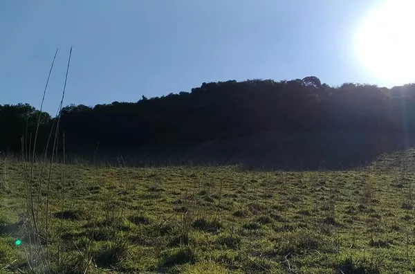 Área Industrial para venda,no bairro  Ponte Alta-Jarinu/SP