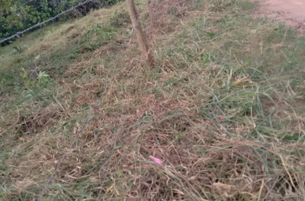 Terreno  á venda  no bairro Caioçara -Jarinu/SP