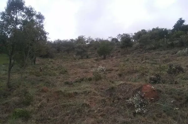 Terreno à venda, 6400 m² por R$ 349.000,00 - Ivoturucaia - Jundiaí/SP