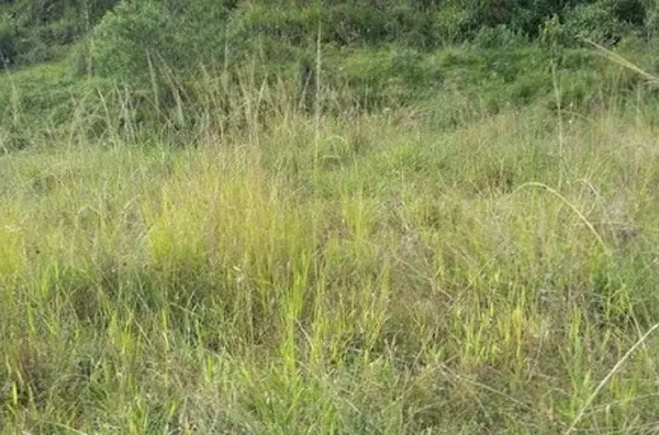 Terreno Rural à venda, Tijuco Preto, Jundiaí - TE0040.