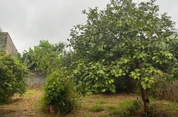 Casa com 2 dormitórios à venda, 100 m² por R$ 320.000,00 - Vila Esperança - Jundiaí/SP