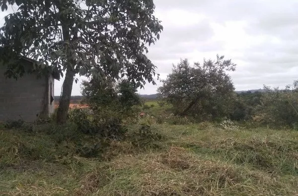 Terreno à venda, 6400 m² por R$ 349.000,00 - Ivoturucaia - Jundiaí/SP