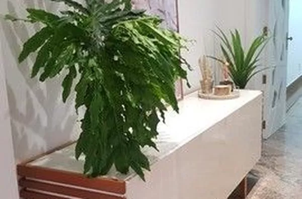 Apartamento com 4 dormitórios à venda, 357 m² - EDIFÍCIO MEDITERRANÈE - Jardim Ana Maria - Jundiaí/SP